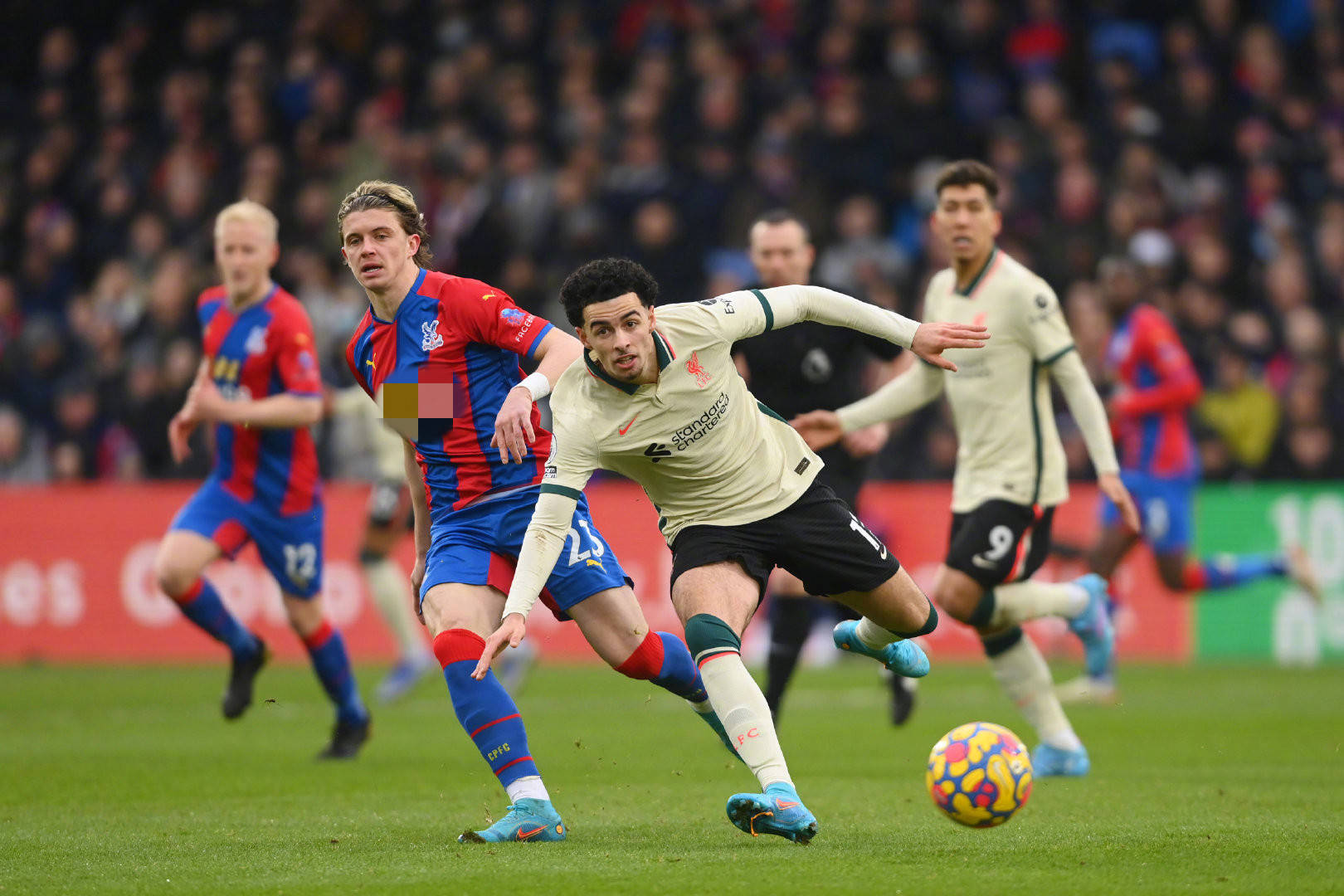 定了他们的 定了他们的